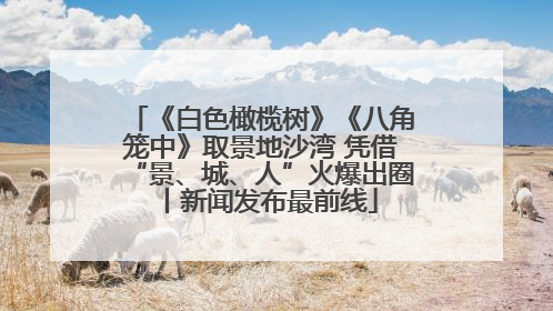 《白色橄榄树》《八角笼中》取景地沙湾 凭借“景、城、人”火爆出圈丨新闻发布最前线