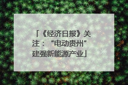 《经济日报》关注：“电动贵州”建强新能源产业