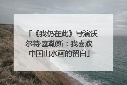 《我仍在此》导演沃尔特·塞勒斯：我喜欢中国山水画的留白