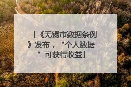 《无锡市数据条例》发布，“个人数据”可获得收益