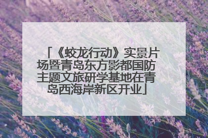 《蛟龙行动》实景片场暨青岛东方影都国防主题文旅研学基地在青岛西海岸新区开业