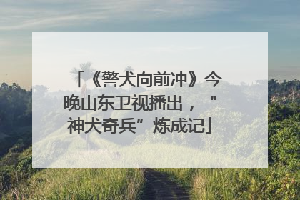 《警犬向前冲》今晚山东卫视播出，“神犬奇兵”炼成记