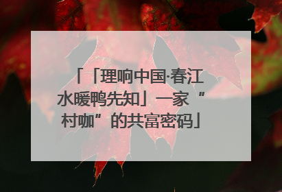 「理响中国·春江水暖鸭先知」一家“村咖”的共富密码