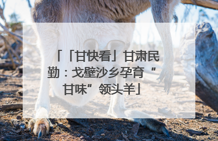 「甘快看」甘肃民勤：戈壁沙乡孕育“甘味”领头羊
