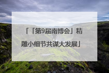 「第9届南博会」精雕小细节共谋大发展