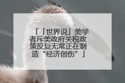 「世界说」美学者斥美政府关税政策反复无常正在制造“经济创伤”
