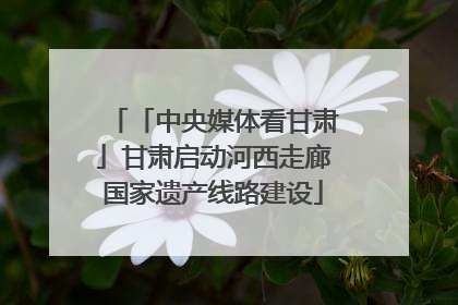 「中央媒体看甘肃」甘肃启动河西走廊国家遗产线路建设