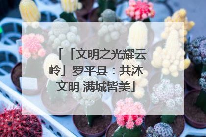 「文明之光耀云岭」罗平县：共沐文明 满城皆美