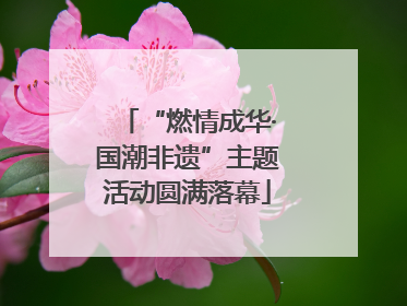 “燃情成华·国潮非遗”主题活动圆满落幕