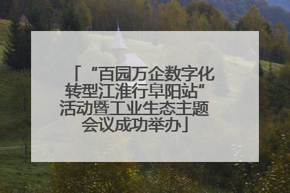 “百园万企数字化转型江淮行阜阳站”活动暨工业生态主题会议成功举办