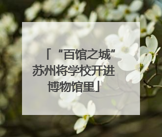 “百馆之城”苏州将学校开进博物馆里