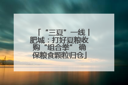 “三夏”一线丨肥城：打好夏粮收购“组合拳” 确保粮食颗粒归仓