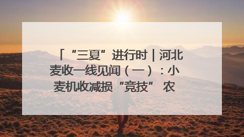 “三夏”进行时｜河北麦收一线见闻（一）：小麦机收减损“竞技” 农机高手麦田“过招”