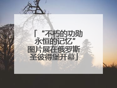 “不朽的功勋 永恒的记忆”图片展在俄罗斯圣彼得堡开幕