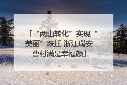 “两山转化”实现“美丽”跃迁 浙江瑞安曹村满是幸福颜