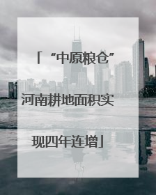 “中原粮仓”河南耕地面积实现四年连增