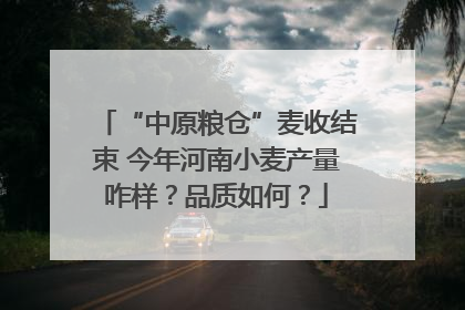 “中原粮仓”麦收结束 今年河南小麦产量咋样？品质如何？