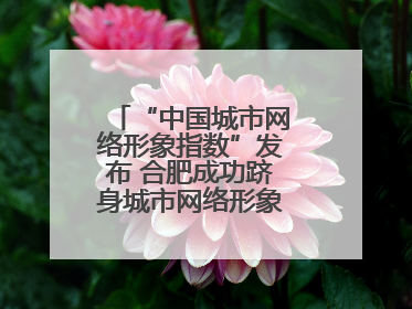 “中国城市网络形象指数”发布 合肥成功跻身城市网络形象榜单第一方阵