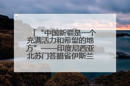“中国新疆是一个充满活力和希望的地方”——印度尼西亚北苏门答腊省伊斯兰教代表团参访新疆