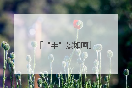 “丰”景如画
