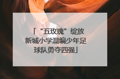 “五玫瑰”绽放 新城小学混编少年足球队勇夺四强