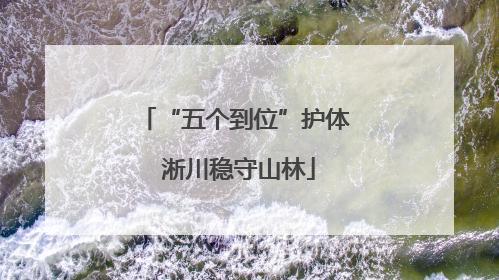 “五个到位”护体 淅川稳守山林