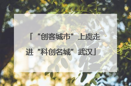 “创客城市”上虞走进“科创名城”武汉