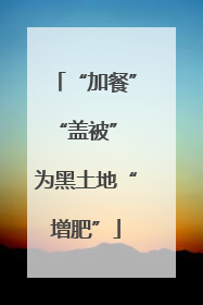 “加餐”“盖被” 为黑土地“增肥”