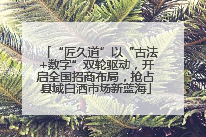 “匠久道”以“古法+数字”双轮驱动，开启全国招商布局，抢占县域白酒市场新蓝海