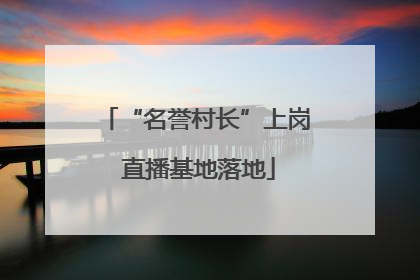 “名誉村长”上岗 直播基地落地