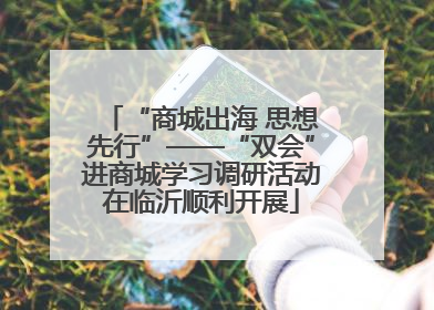 “商城出海 思想先行”——“双会”进商城学习调研活动在临沂顺利开展