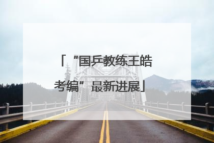 “国乒教练王皓考编”最新进展