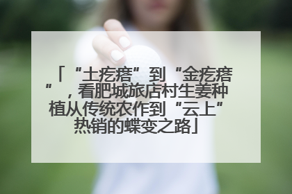 “土疙瘩”到“金疙瘩”，看肥城旅店村生姜种植从传统农作到“云上”热销的蝶变之路