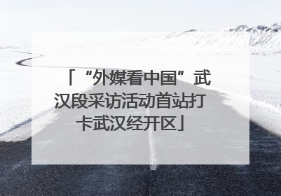 “外媒看中国”武汉段采访活动首站打卡武汉经开区