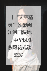 “天空精灵”齐聚闽江河口湿地，中华凤头燕鸥花式谈恋爱