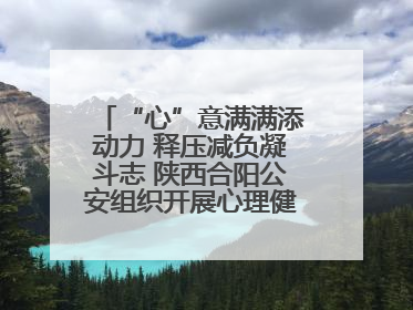 “心”意满满添动力 释压减负凝斗志 陕西合阳公安组织开展心理健康团体辅导活动