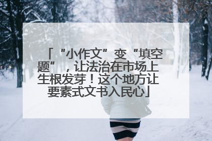“小作文”变“填空题”，让法治在市场上生根发芽！这个地方让要素式文书入民心