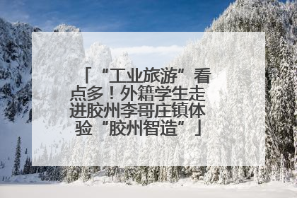 “工业旅游”看点多！外籍学生走进胶州李哥庄镇体验“胶州智造”