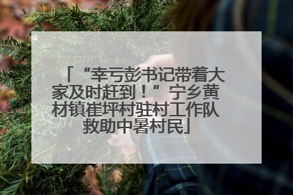 “幸亏彭书记带着大家及时赶到！”宁乡黄材镇崔坪村驻村工作队救助中暑村民