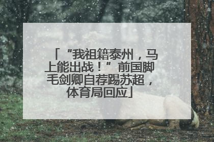 “我祖籍泰州，马上能出战！”前国脚毛剑卿自荐踢苏超，体育局回应