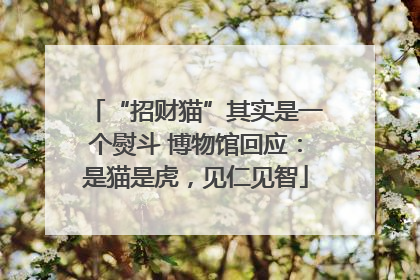 “招财猫”其实是一个熨斗 博物馆回应：是猫是虎，见仁见智