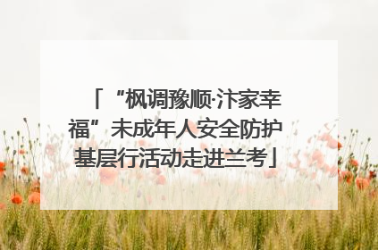 “枫调豫顺·汴家幸福”未成年人安全防护基层行活动走进兰考