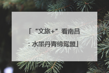“文旅+”看南昌：水墨丹青缔鸳盟