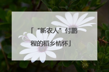 “新农人”付鹏程的稻乡情怀