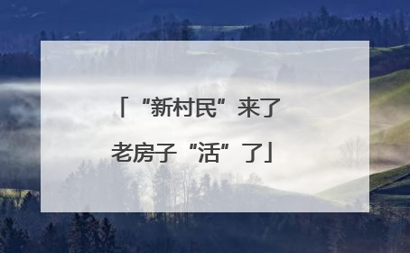 “新村民”来了 老房子“活”了