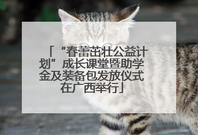 “春蕾茁壮公益计划”成长课堂暨助学金及装备包发放仪式在广西举行