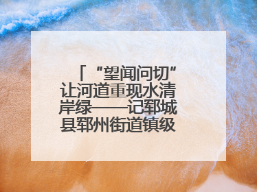 “望闻问切”让河道重现水清岸绿——记郓城县郓州街道镇级河长孟泓辰