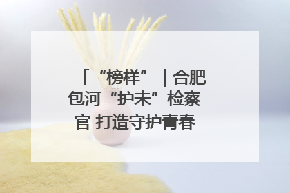 “榜样”｜合肥包河“护未”检察官 打造守护青春成长的永恒灯塔