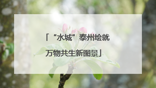 “水城”泰州绘就万物共生新图景