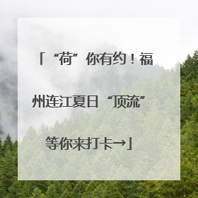 “荷”你有约！福州连江夏日“顶流”等你来打卡→